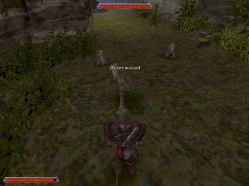 Gothic 2 000257,1